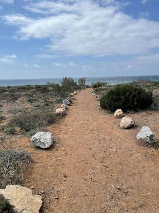 무르시아 La Casa De Ladrillo, Relax Y Trekking House. 빌라 외부 사진